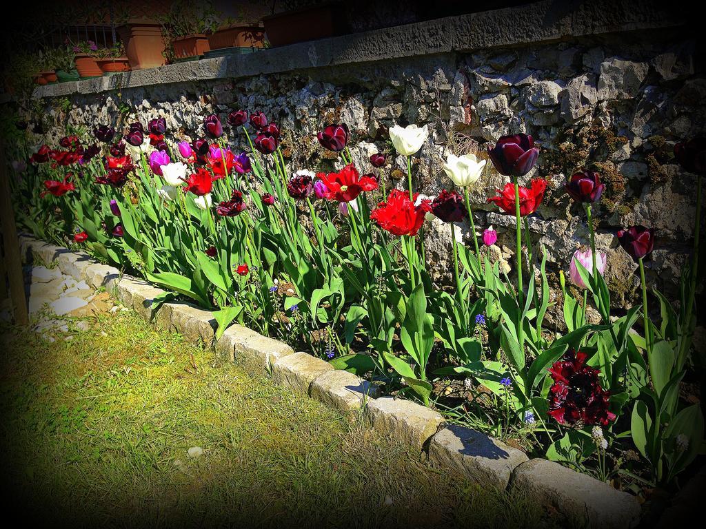 Agriturismo Borgovecchio Romans d'Isonzo エクステリア 写真